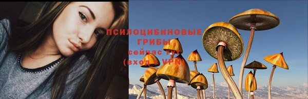 дживик Арсеньев