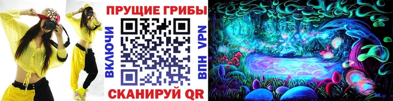 Псилоцибиновые грибы Psilocybine cubensis  Ленинск 